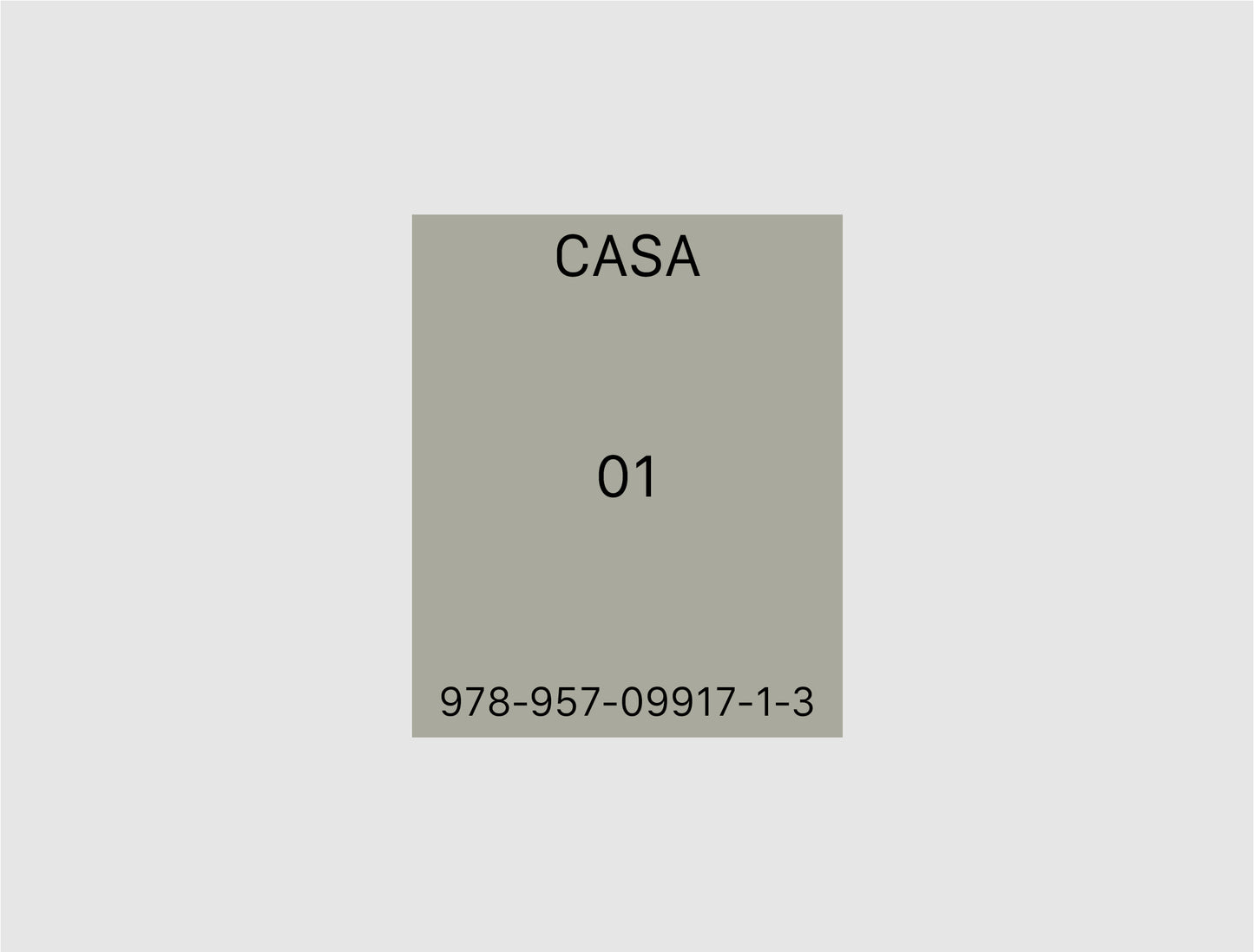 CASA 01 - ROLLA VALDIVIESO