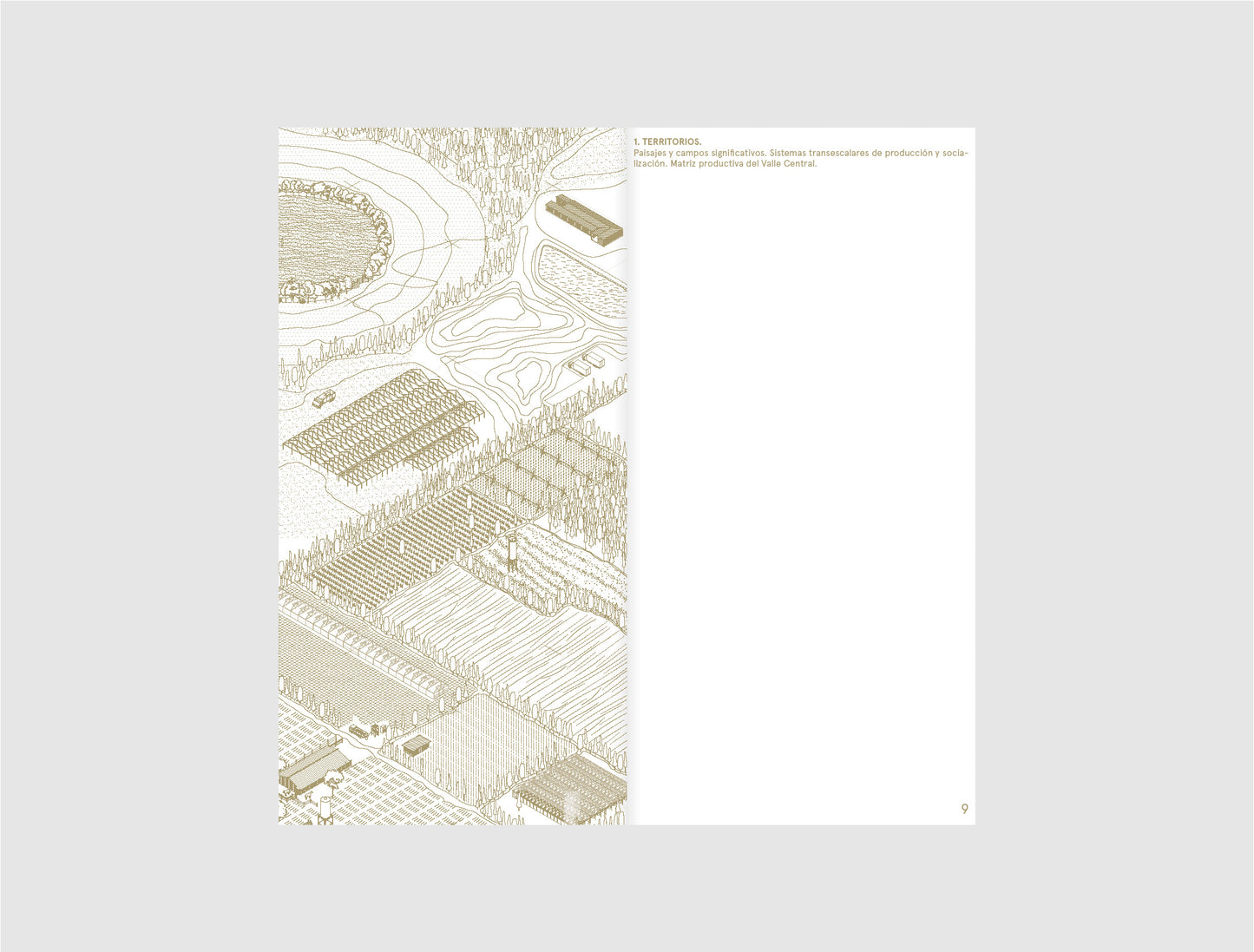 CAMPO(S) DORADO(S) - ANAGRAMMA ARQUITECTES